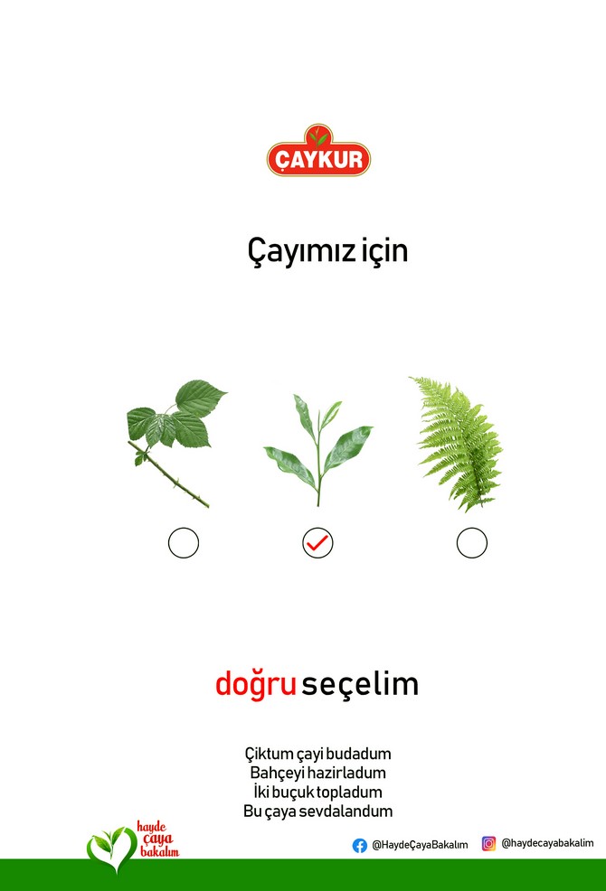 caykur-genel-mudur-vekili-yusuf-ziya-alim,-2019-donemi-yas-cay-sezonunun-ikinci-surgununu-hayde-caya-bakalim-kampanyasi-ile-acti-(13).jpg