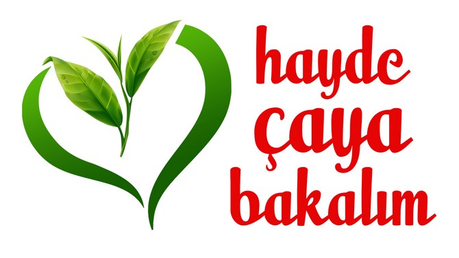 caykur-genel-mudur-vekili-yusuf-ziya-alim,-2019-donemi-yas-cay-sezonunun-ikinci-surgununu-hayde-caya-bakalim-kampanyasi-ile-acti-(14).jpg