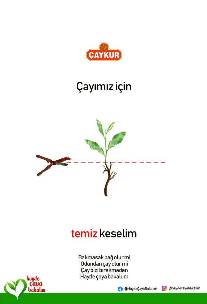 caykur-genel-mudur-vekili-yusuf-ziya-alim,-2019-donemi-yas-cay-sezonunun-ikinci-surgununu-hayde-caya-bakalim-kampanyasi-ile-acti-(16).jpg