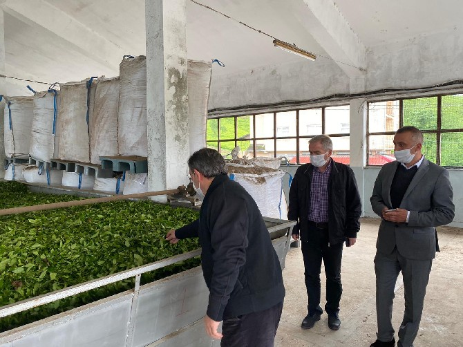caykur-genel-mudur-vekili-yusuf-ziya-alim-fabrika-ve-alim-yeri-denetimelrinde-(6).jpg