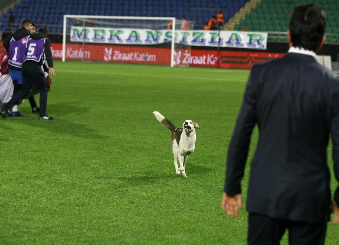 caykur-rizespor---balikesir-baltok-(4).jpg