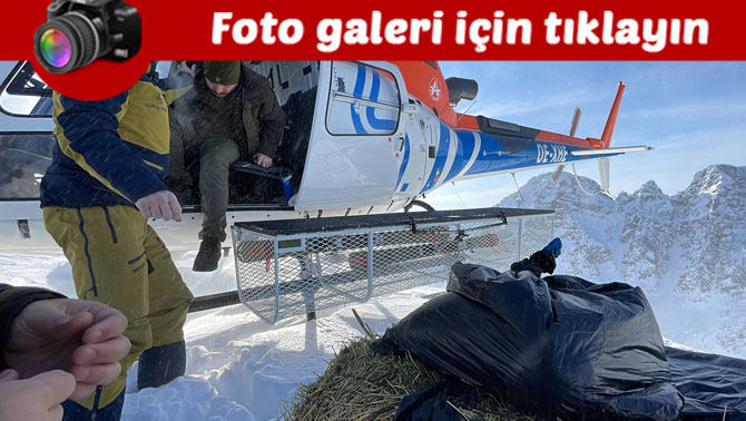 cengel-boynuzlu-dag-kecileri-icin-kackarlara-helikopterle-yem-tasindi.jpg