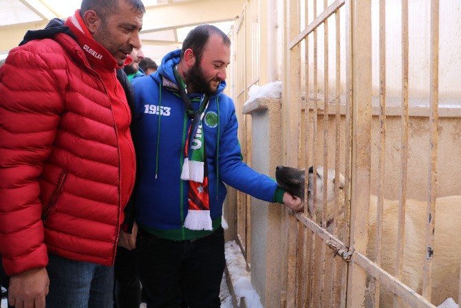 d.g.-sivasspor-taraftarlari,-caykur rizespor-taraftarlarini-kangal-uretim-merkezi’nde-agirladi-(4).jpg
