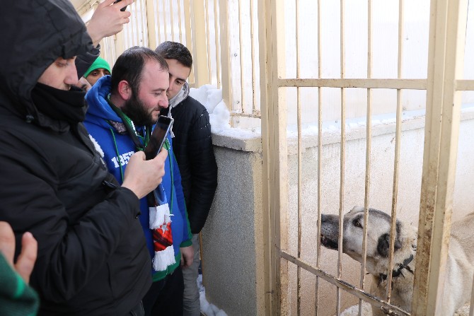d.g.-sivasspor-taraftarlari,-caykur rizespor-taraftarlarini-kangal-uretim-merkezi’nde-agirladi-(5).jpg