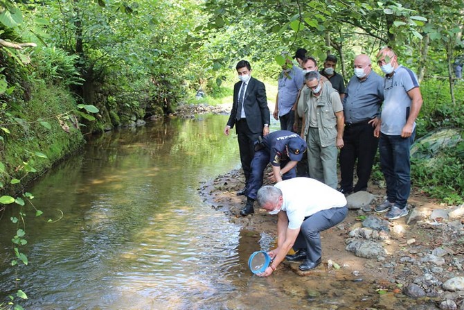 derepazari’nda-15-bin-kirmizi-benekli-alabalik-dereye-birakildi-(5).jpg