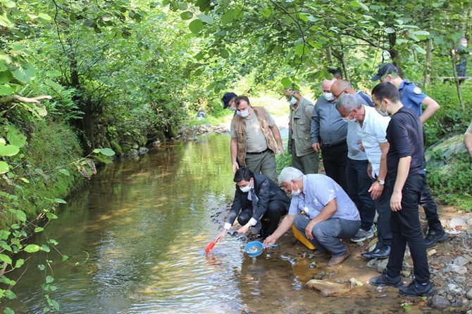 derepazari’nda-15-bin-kirmizi-benekli-alabalik-dereye-birakildi-(9).jpg