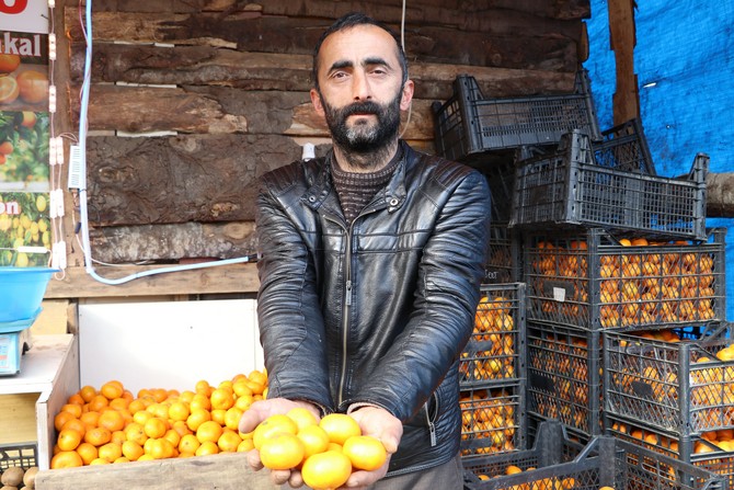 derepazari-mandalinasi-tadi-ve-aromasi-ile-buyuk-ilgi-goruyor-4.jpg