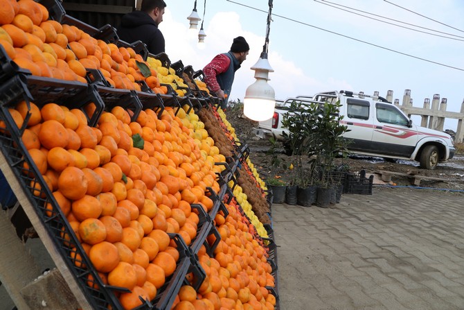 derepazari-mandalinasi-tadi-ve-aromasi-ile-buyuk-ilgi-goruyor-6.jpg