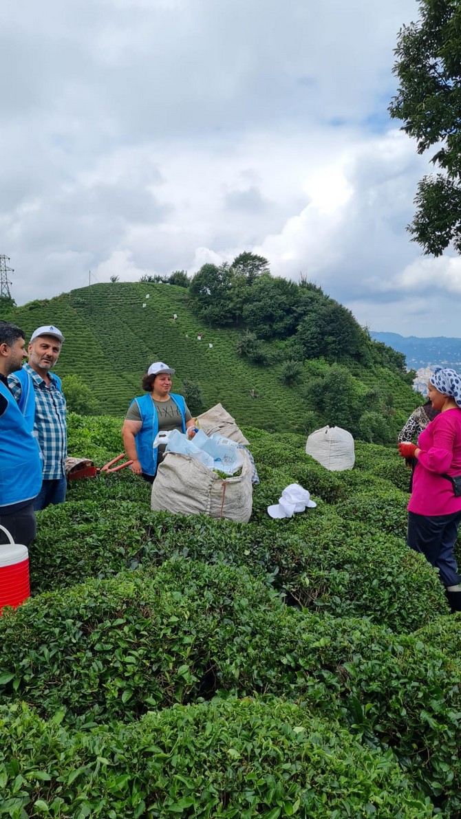 deva-rizede-tarlaya-girdi-cay-ureticisine-sapka-ve-soguk-icecek-dagitti-11.jpg