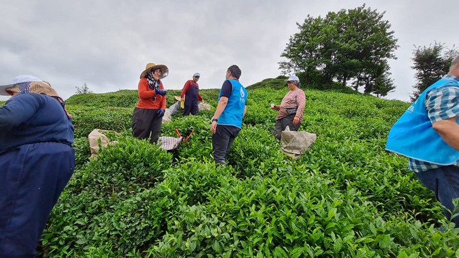 deva-rizede-tarlaya-girdi-cay-ureticisine-sapka-ve-soguk-icecek-dagitti-9.jpg
