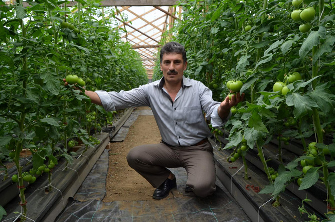 dogu-karadeniz’de-topraksiz-tarim-donemi1.jpg