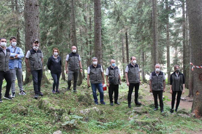 dogu-karadeniz-ormanlari-yaklasik-3-milyon-terminator-bocekle-korunuyor-(2).jpg