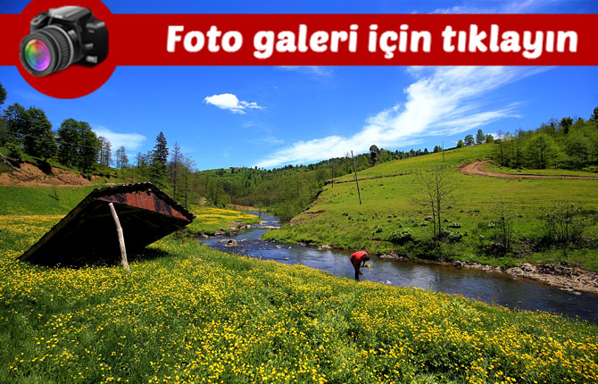 dogu-karadeniz-yaylalari-ziyaretcilerini-agirlamaya-hazirlaniyor-foto-galeri.jpg