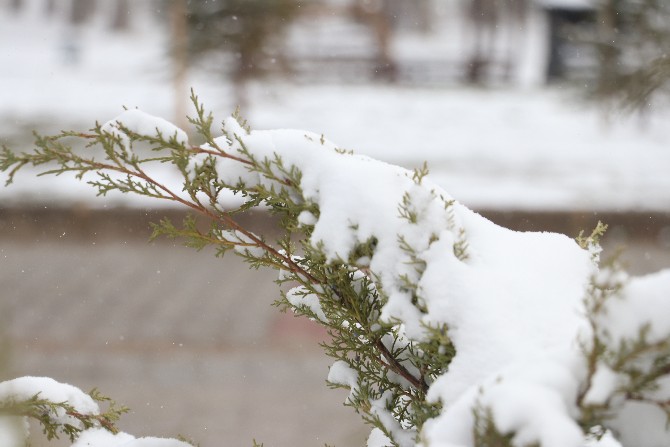 dogu-karadenizin-yuksek-kesimlerinde-kar-etkili-oldu-2.jpg