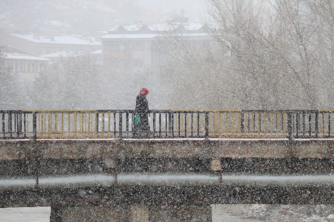 dogu-karadenizin-yuksek-kesimlerinde-kar-etkili-oldu-3.jpg