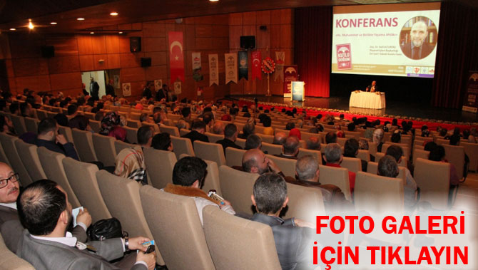 ds-001.jpg ds-001.jpg