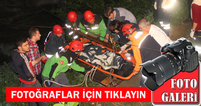 ds-003.jpg ds-003.jpg