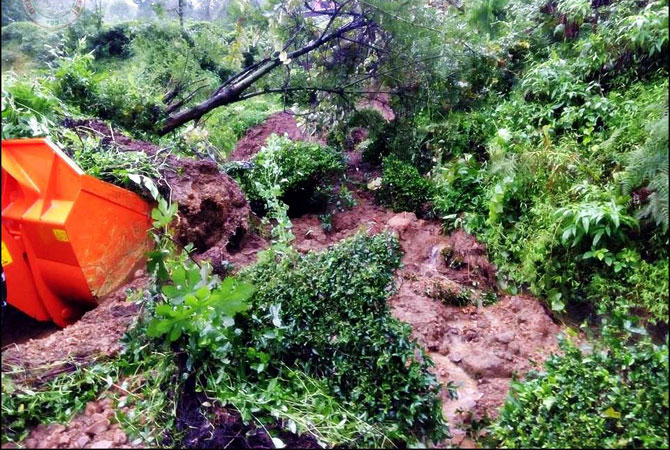 ds-004.jpg ds-004.jpg