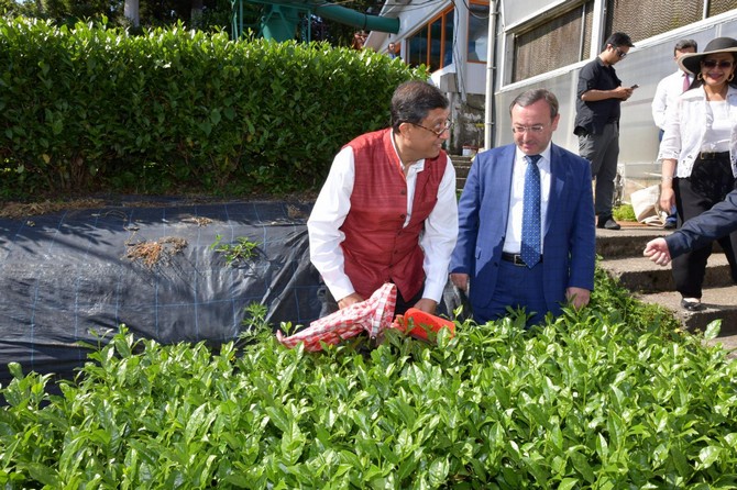 dunyada-en-cok-cay-ureten-2.-ulke-olan-hindistanin-ankara-buyukelcisi-sanjay-bhattacharyya,-caykur-genel-mudur-vekili-yusuf-ziya-alim’e-ziyarette-bulundu-(3).jpg