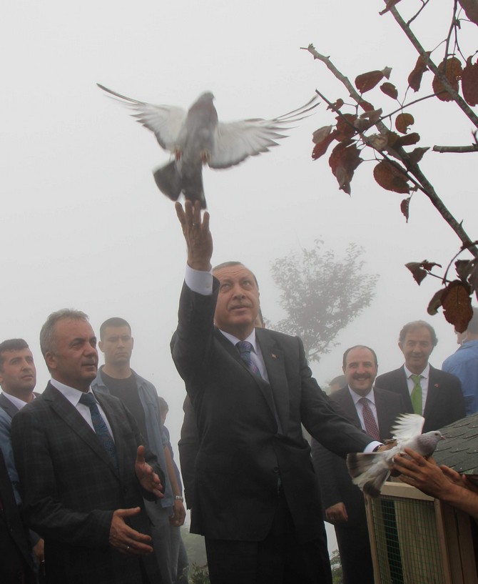erdogan-rizede-(1)-002.jpg