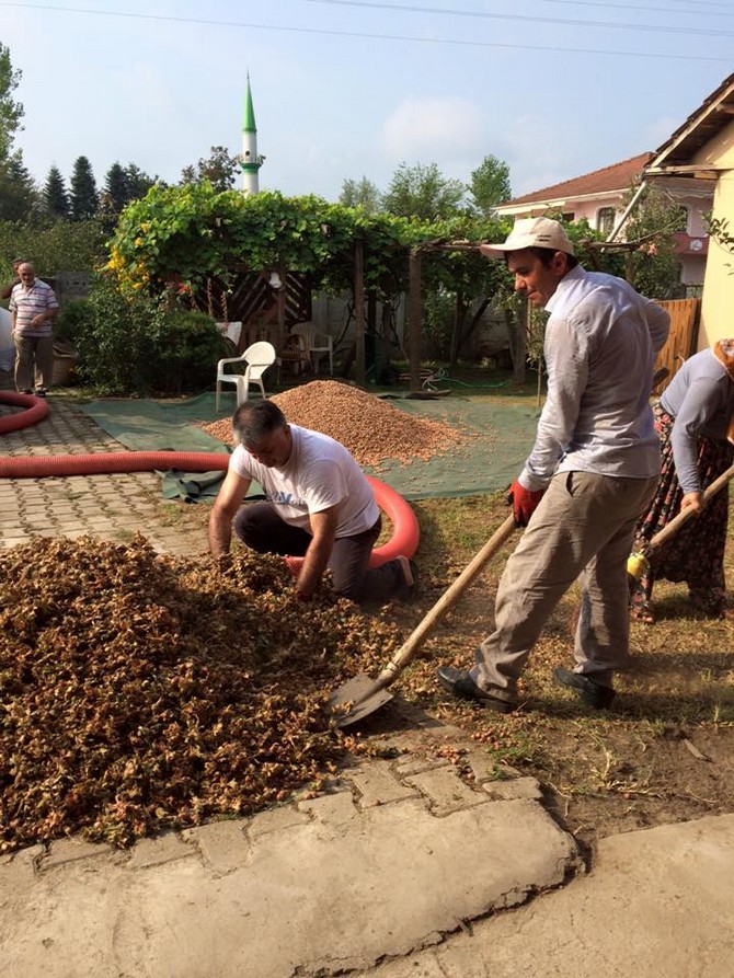 ersin-yazici-findik-hasadi-yapti-(6)-001.jpg