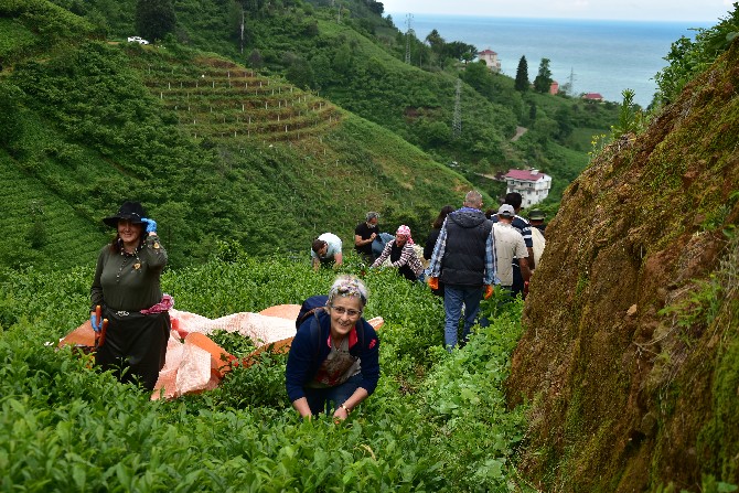 findiklida-cay-toplama-mecisi-ile-20-bin-tl-gelir-elde-edildi-(6).jpg