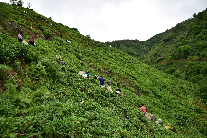 findiklida-cay-toplama-mecisi-ile-20-bin-tl-gelir-elde-edildi-(8).jpg