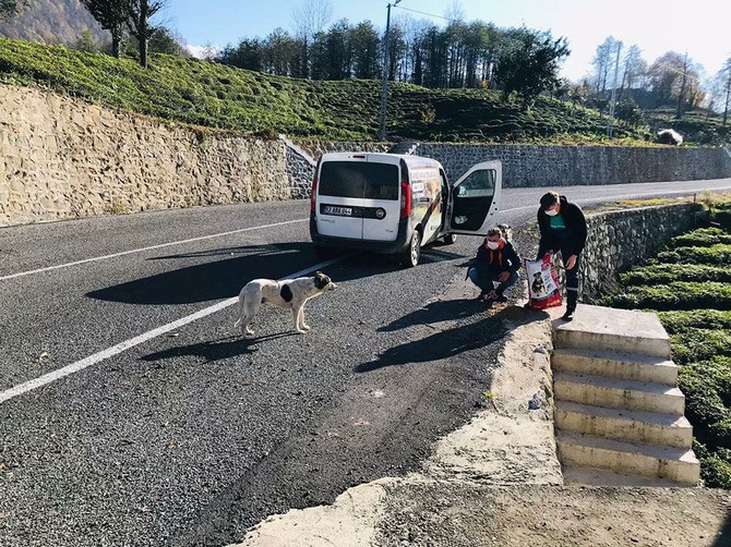 hafta-sonu-kisitlamasini-firsata-ceviren-rize-il-ozel-idaresi,-sokak-hayvanlarini-unutmadi-(4).jpg