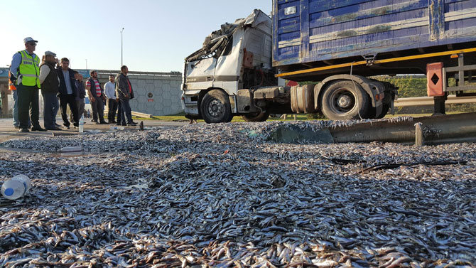 hamsi-yuklu-tir-devrildi-1-yarali-1.jpg hamsi-yuklu-tir-devrildi-1-yarali-1.jpg