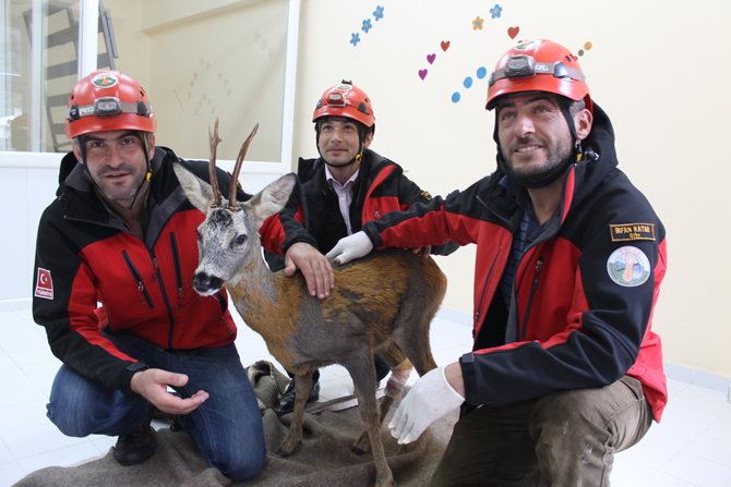 ikizdere’ye-dusen-karaca-kurtarildi-2.jpg