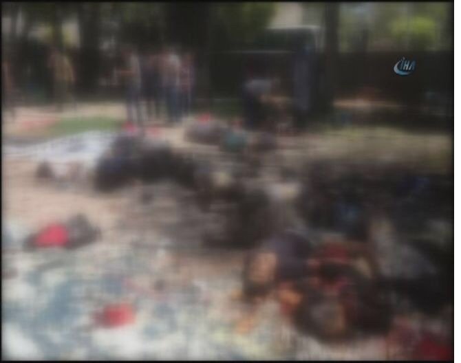 image-031.jpg image-031.jpg