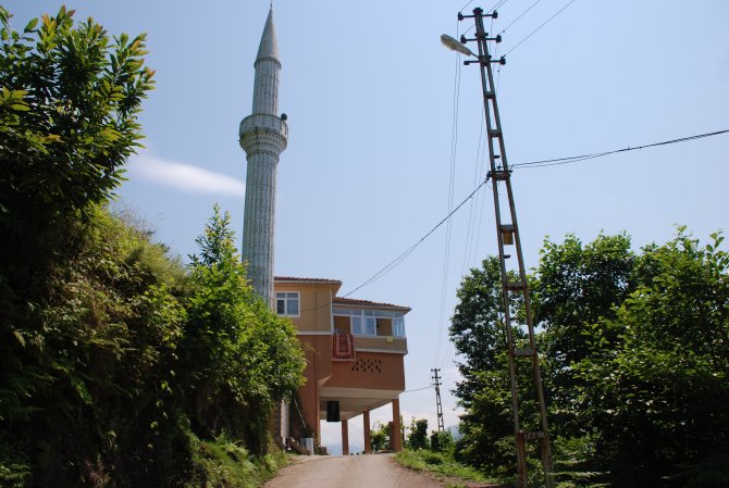 image-042.jpg image-042.jpg