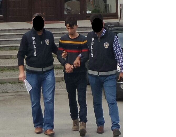 image-051.jpeg image-051.jpeg