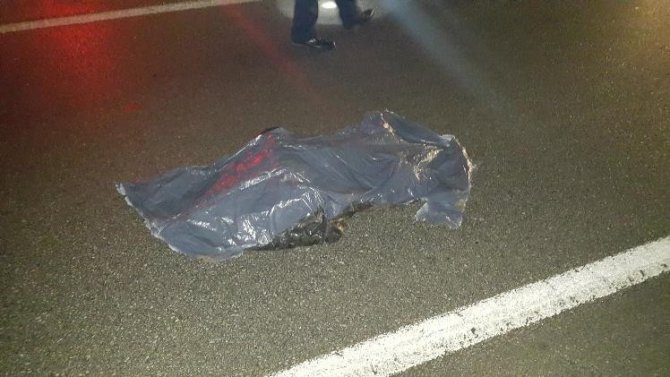 image-067.jpeg image-067.jpeg