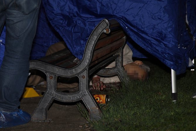 image-068.jpeg image-068.jpeg