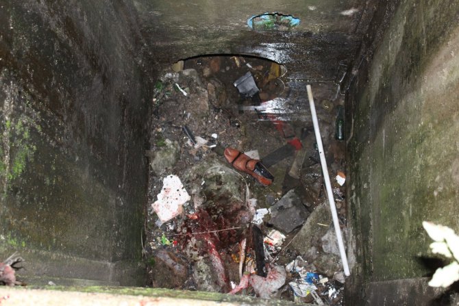 image-122.jpeg image-122.jpeg