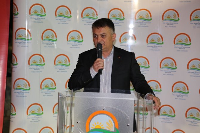 image-125.jpg image-125.jpg