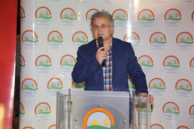 image-126.jpg image-126.jpg