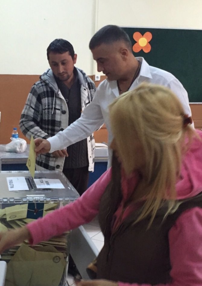 image-147.jpeg image-147.jpeg