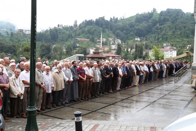 image-166.jpg image-166.jpg