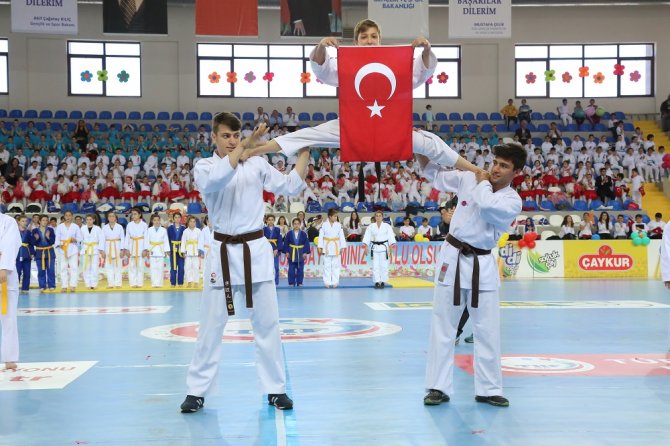 image-20160423134606.jpeg image-20160423134606.jpeg