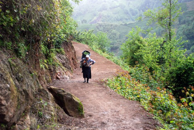 image-20160514140206.jpeg image-20160514140206.jpeg