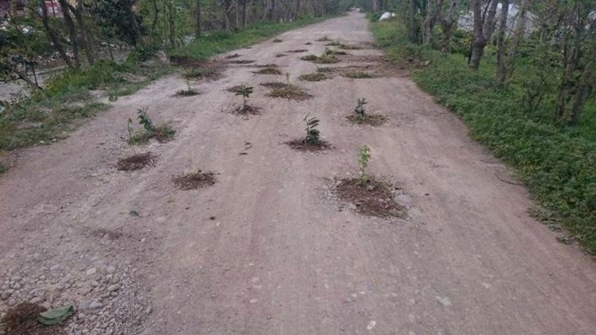 image-20160529112037.jpeg image-20160529112037.jpeg