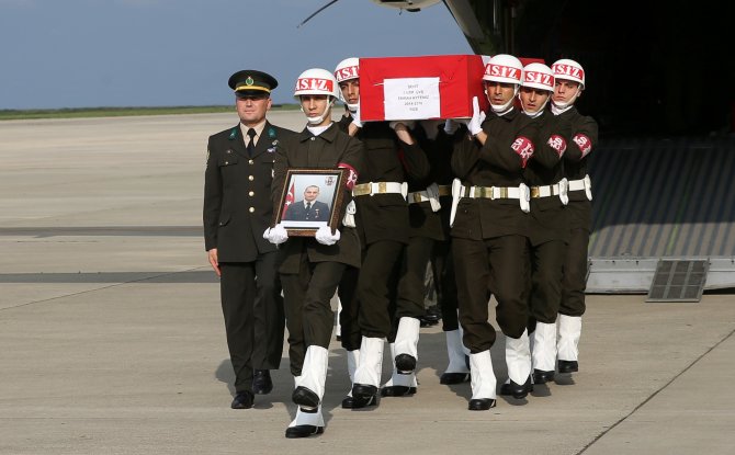 image-20160626185116.jpeg image-20160626185116.jpeg