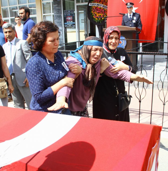 image-20160702210835.jpeg image-20160702210835.jpeg