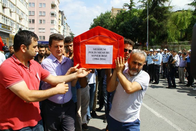 image-20160702211339.jpeg image-20160702211339.jpeg