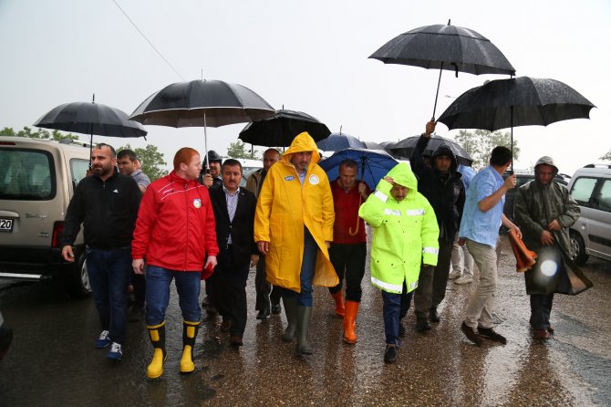 image-20160705103208.jpeg image-20160705103208.jpeg