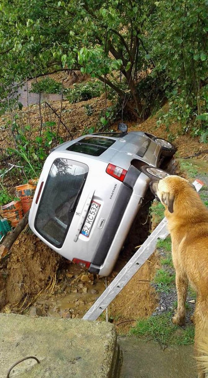 image-20160706120510.jpeg image-20160706120510.jpeg