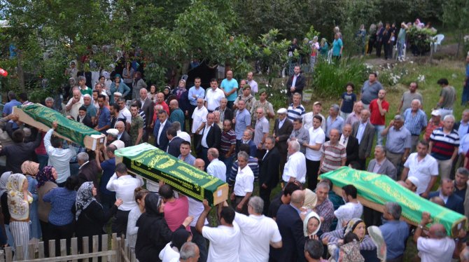 image-20160707213718.jpeg image-20160707213718.jpeg