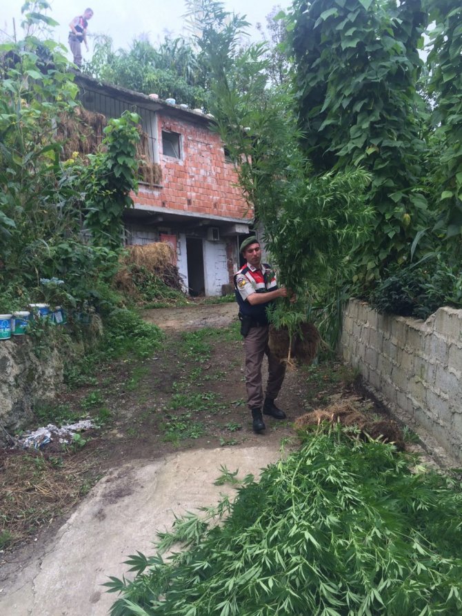 image-20160805181928.jpeg image-20160805181928.jpeg